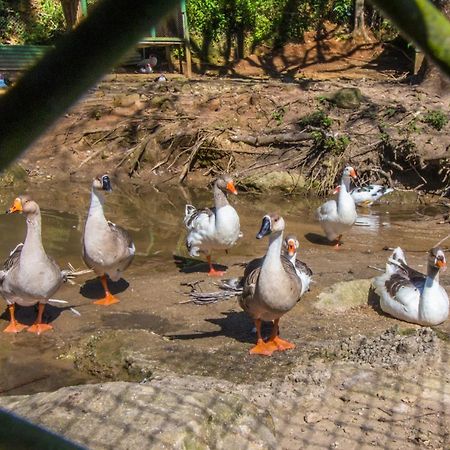 Hotel Fazenda Canto Da Serra Jacone Bagian luar foto